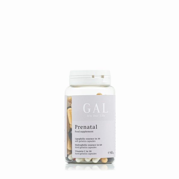 GAL Prenatal Multivitamin (new)