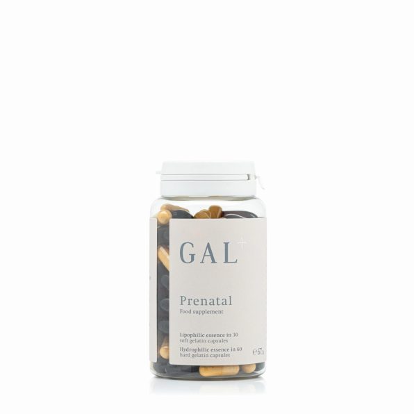 GAL+ Prenatal Multivitamin (new)