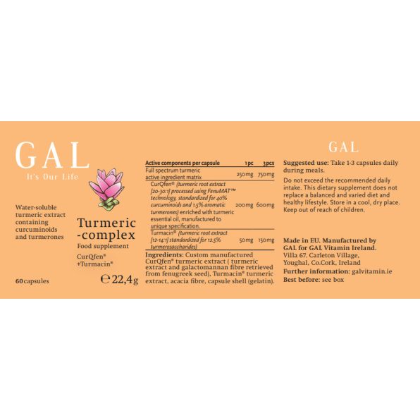 GAL Turmeric-Complex, (60 Capsules)